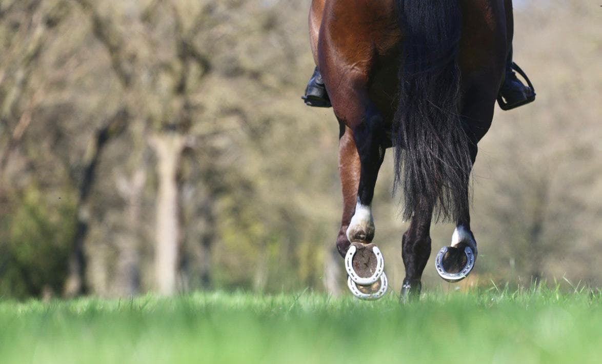 Military Boekelo